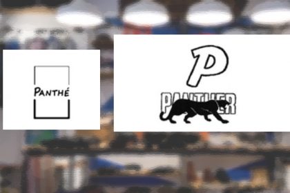 Panthé figurative mark versus Panther mark