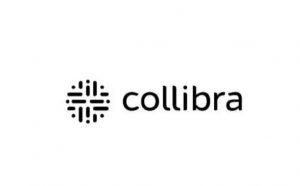 Kolibri gegen Collibra- Marke Software